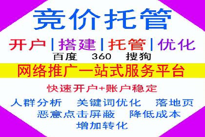 SEM推广案例：揭秘高ROI背后的策略与实践
